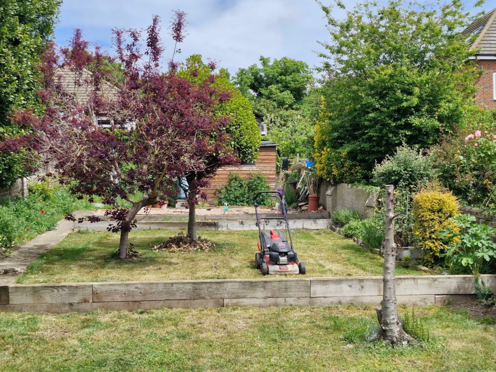 Back garden lawn mown between sleeper-edged beds with mature trees