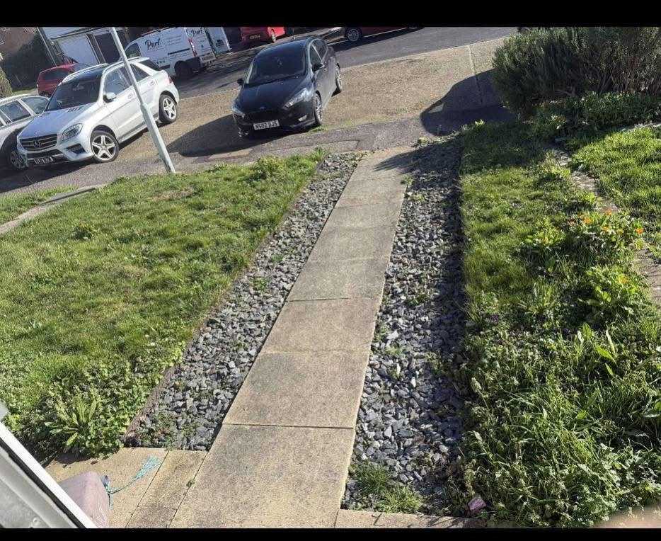 Overgrown front garden path with weeds along stone slabs before clearance