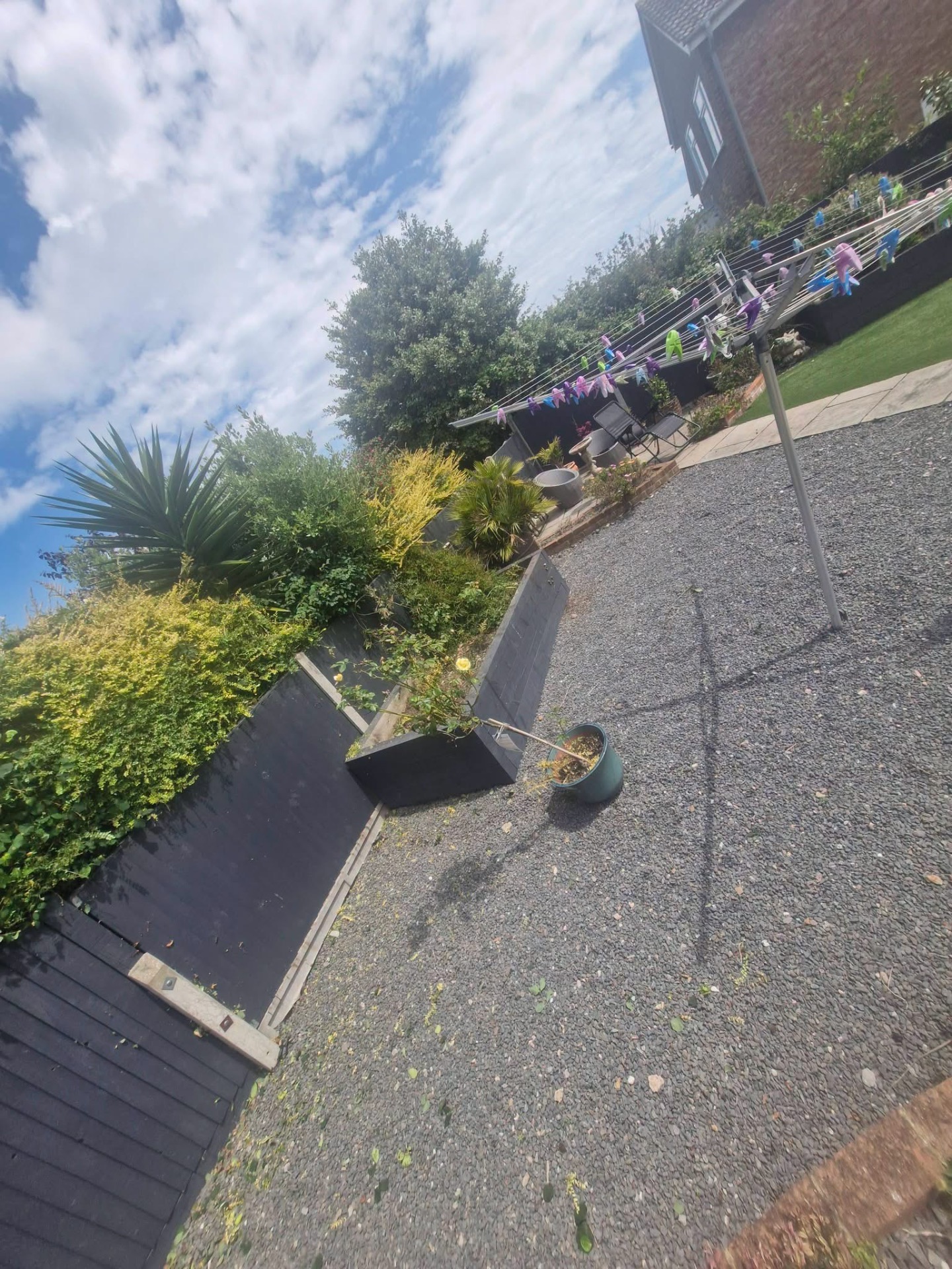 Tiered raised borders with yucca, shrubs and gravel driveway after tidy