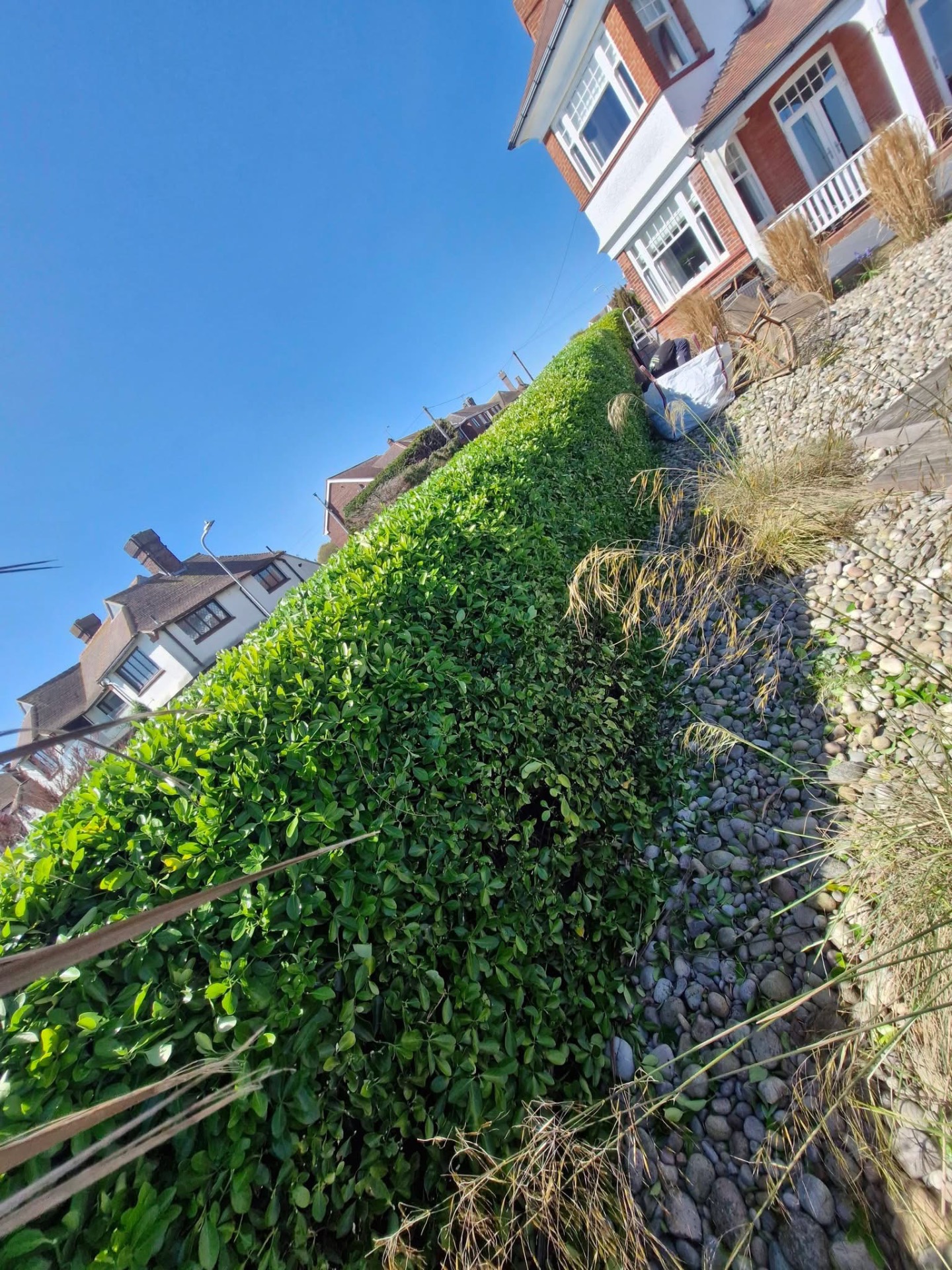 Tall front boundary hedge trimmed neatly beside pebble border