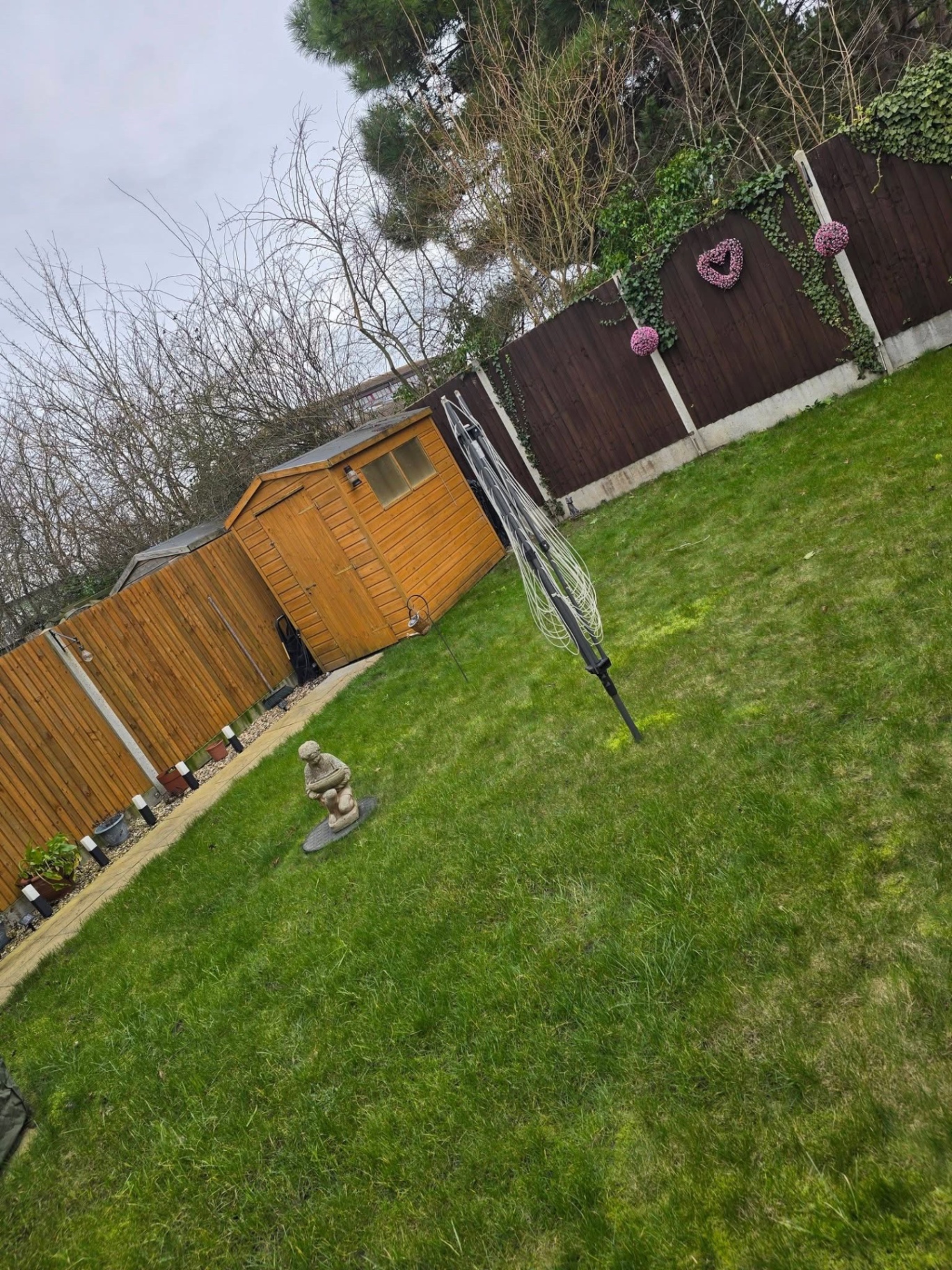 Rear garden lawn cut back around timber shed