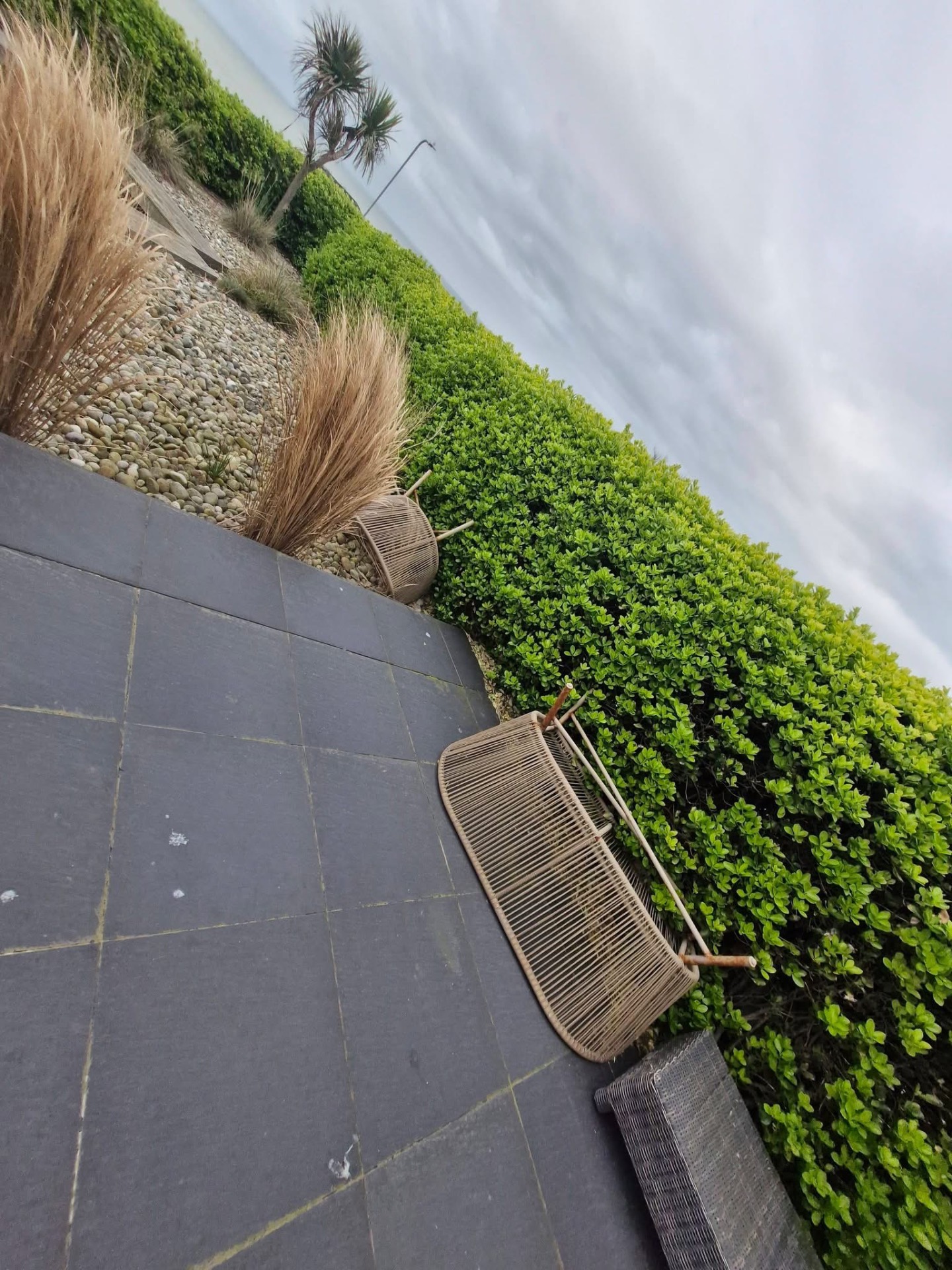 Coastal slate patio with clipped box hedging and ornamental grasses