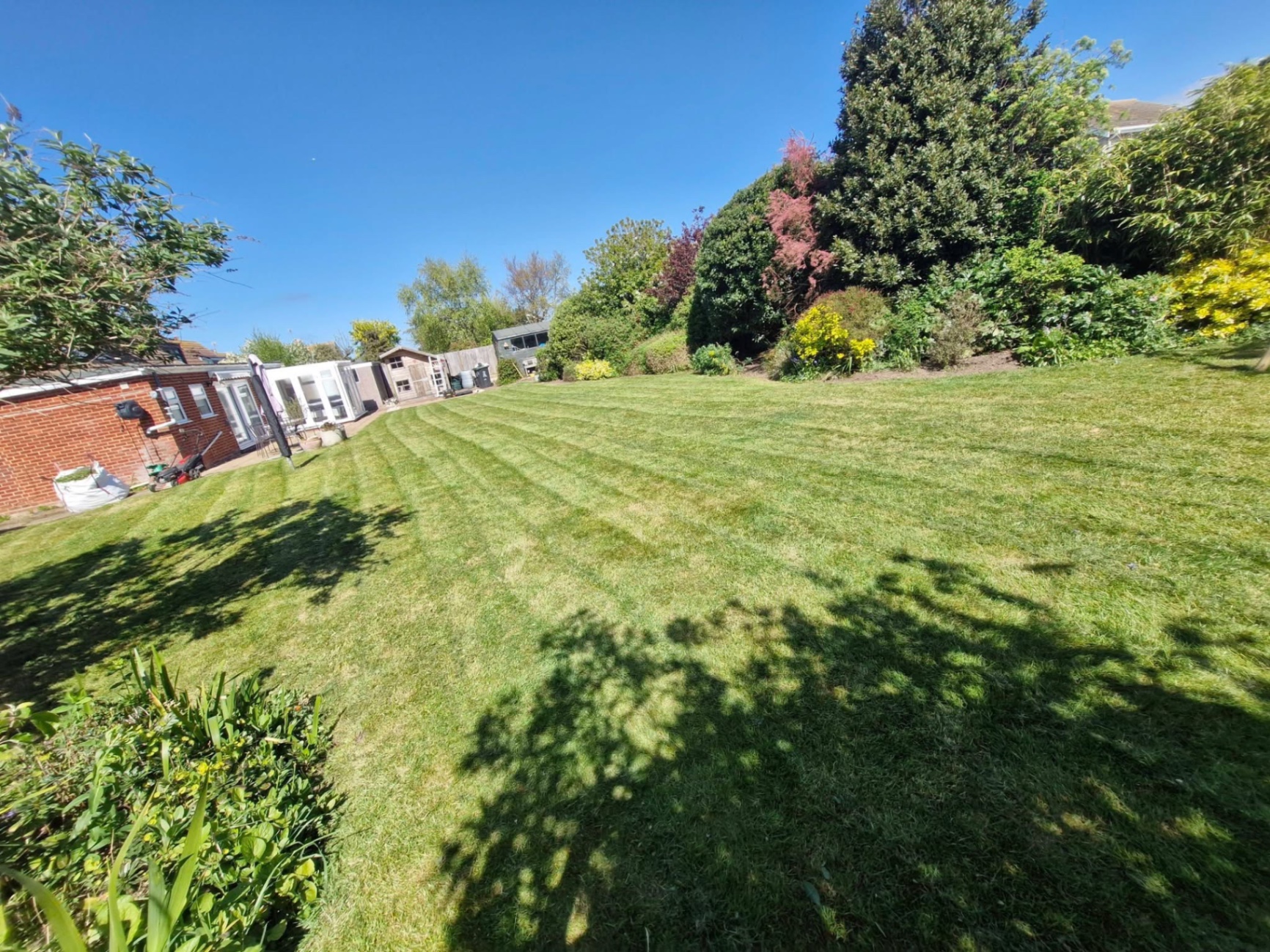 Large rear lawn cut with clean stripes on a bright sunny day