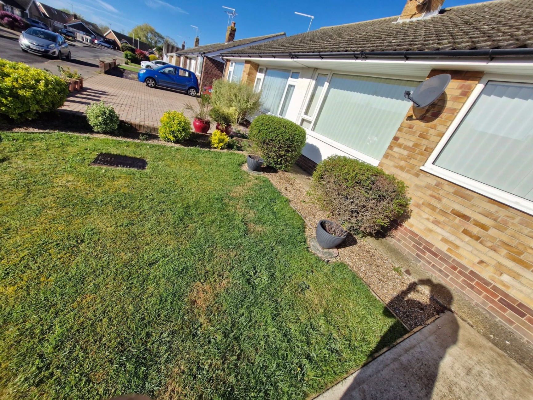 Front garden lawn cut and shaped shrubs by bungalow