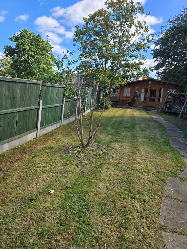 Back garden with lawn cut back around trees and summerhouse
