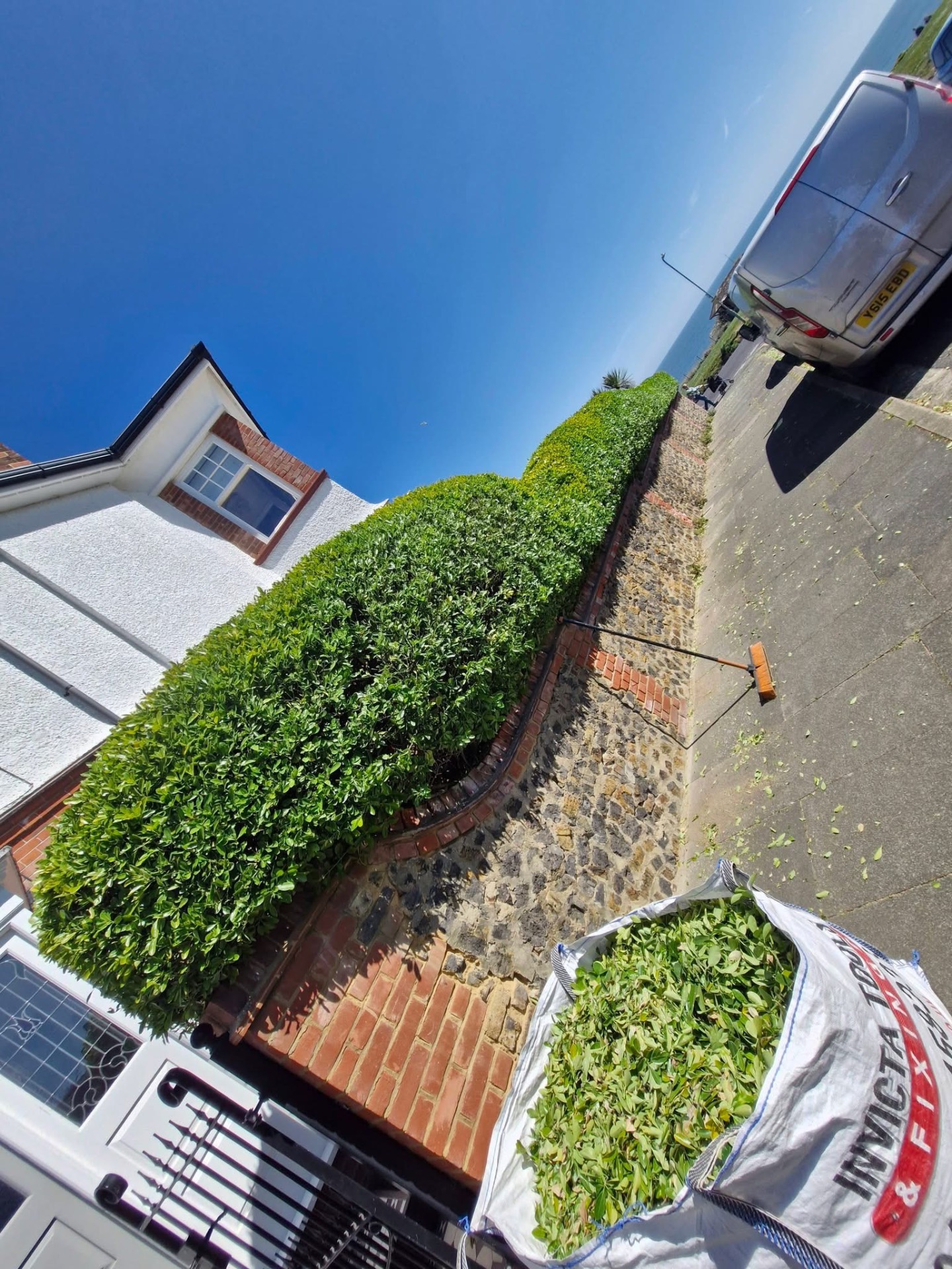 Front hedge reshaped along flint wall with cuttings bagged for removal