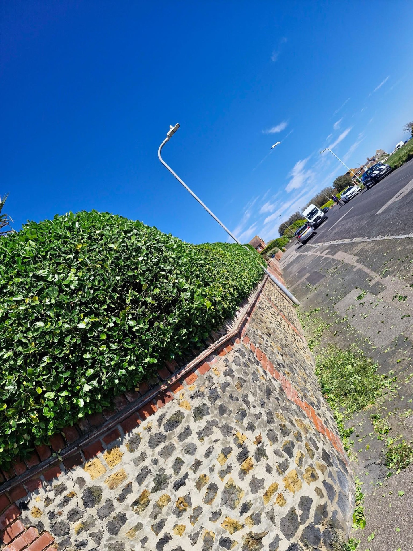Front boundary hedge trimmed to a clean line above flint wall